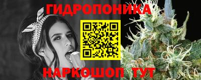 тгк Нальчик