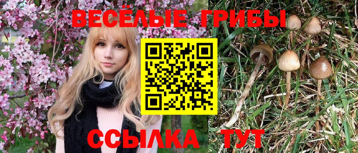 Галлюциногенные грибы Psilocybine cubensis  Вход с VPN  Белорецк  Галлюциногенные грибы Psilocybe 